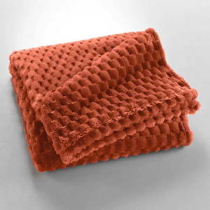 Deka z mikroflanelu v terakotové barvě 125x150 cm Mini Frosty – douceur d'intérieur obraz