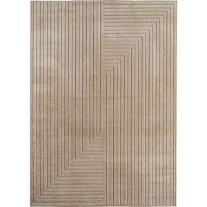Béžový vnitřní a venkovní koberec 160x230 cm Nova 1202 – Ayyildiz Carpets obraz