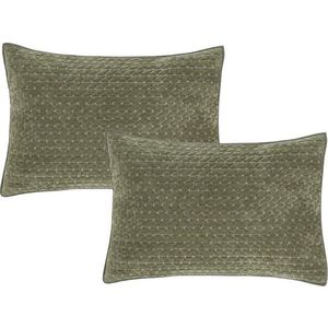 Povlaky na polštáře v sadě 2 ks 50x75 cm Attica Velvet Embroidered – Bianca obraz