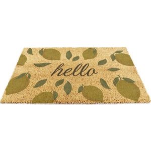 Rohožka z kokosového vlákna 40x60 cm Hello Lemons – Artsy Doormats obraz