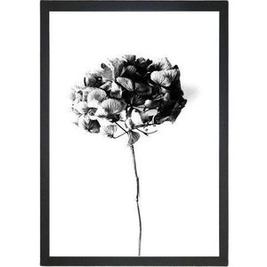Obraz 24x29 cm Velvet Flower – Vavien Artwork obraz