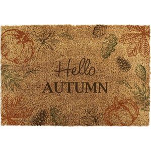 Rohožka z kokosového vlákna 40x60 cm Hello Autumn – Artsy Doormats obraz