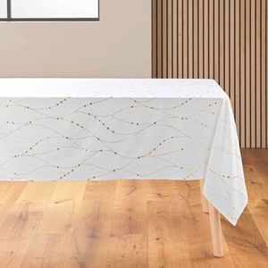 Ubrus z mikrovlákna 140x240 cm Firmament – douceur d'intérieur obraz