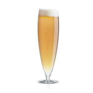 Sklenice na pivo velká, 2 ks, Eva Solo obraz