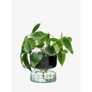 Samozavlažovací květináč Canopy, výška 13 cm, čirý - LSA International obraz