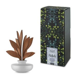 Difuzér ve tvaru listu s nádobou 5 Seasons, prům. 11.5 cm - Alessi obraz