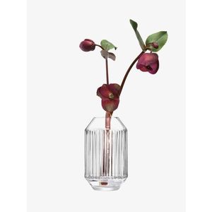 Váza Rotunda, v.15 cm, čirá - LSA international obraz
