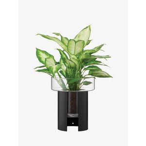 Terrazza květináč, v. 22 cm, Ø19 cm, čirá/černá - LSA international obraz
