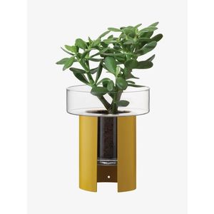 Terrazza květináč, v. 22 cm, Ø19 cm, čirá/hořčicově žlutá - LSA international obraz