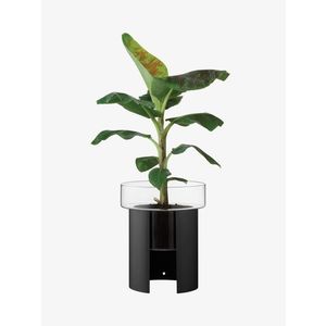 Terrazza květináč, v. 45 cm, Ø37 cm, čirá/černá - LSA international obraz