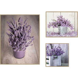 Obrazy v sadě 3 ks 40x50 cm Purple Flowers – knor obraz