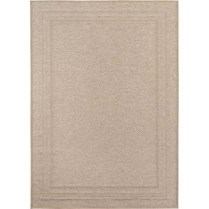 Béžový vnitřní a venkovní koberec 120x170 cm Desert 1304 – Ayyildiz Carpets obraz
