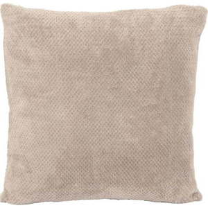 Dekorační polštář z mikroplyše 45x45 cm Pippa – Tiseco Home Studio obraz
