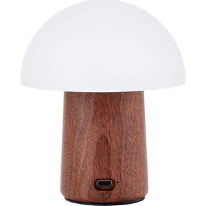 Bílá/v tmavě přírodní barvě LED stolní lampa (výška 12, 5 cm) Alice Mushroom – Gingko obraz