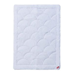 Hefel Textil CELOROČNÍ PŘIKRÝVKA, 140/200 cm, obraz