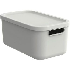 Rotho BOX S VÍKEM 12 l obraz