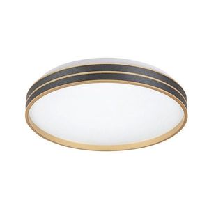 Rabalux STROPNÍ LED SVÍTIDLO, 39 cm obraz