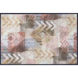wash+dry DVEŘNÍ ROHOŽKA, 50/75 cm, béžová, světle hnědá obraz