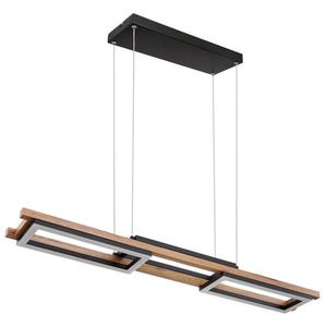 Globo ZÁVĚSNÉ LED SVÍTIDLO, 100/14/120 cm obraz