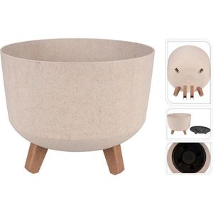 KVĚTINÁČ NA KVĚTINY textil, 18/29.5/29.5 cm obraz