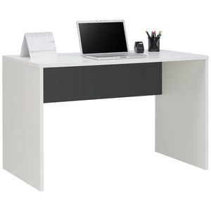 Hom`in PSACÍ STŮL, antracitová, bílá, 120/67/76 cm obraz