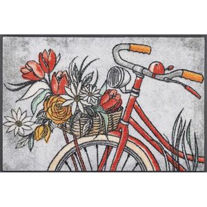 Esposa DVEŘNÍ ROHOŽKA, 50/75 cm obraz