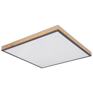 Globo LED PANEL, 59/59/6, 5 cm obraz