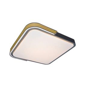 Rabalux STROPNÍ LED SVÍTIDLO, 42/8, 5/42 cm obraz