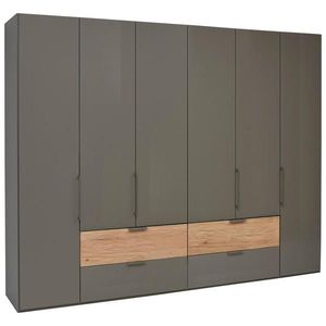 Dieter Knoll ŠATNÍ SKŘÍŇ, dub, antracitová, barvy dubu, 300/236/58 cm obraz