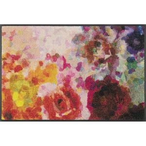 Esposa DVEŘNÍ ROHOŽKA, 50/75 cm, vícebarevná obraz