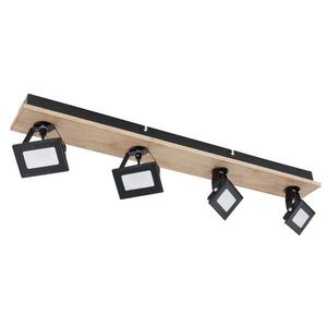 LED ZÁŘIČ, tmavě hnědá, černá, teplá bílá, 66 cm obraz