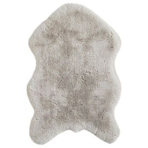 Novel UMĚLÁ KOŽEŠINA, 60/90 cm, barvy stříbra obraz