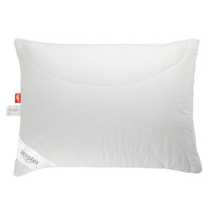 Sleeptex POLŠTÁŘ POD HLAVU, 70/90 cm obraz