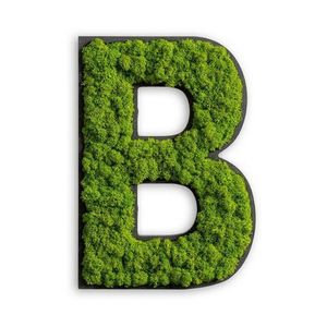 MECHOVÝ OBRAZ obraz