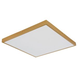 Globo STROPNÍ LED SVÍTIDLO, 45/46/3 cm obraz