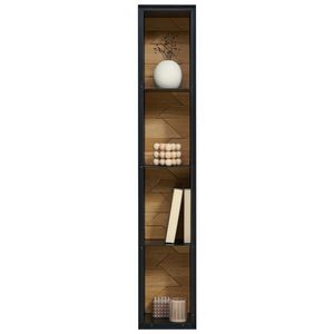 Linea Natura ZÁVĚSNÁ SKŘÍŇKA, divoký dub, černá, divoký dub, 19/120/22 cm obraz