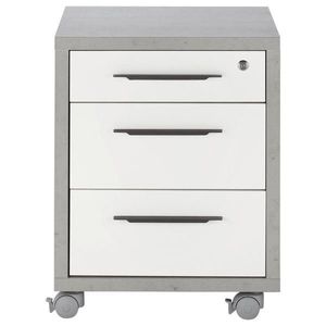 Carryhome POJÍZDNÝ KONTEJNER, 47/63/45 cm obraz