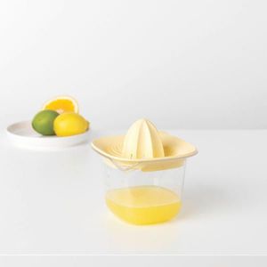 Brabantia LIS NA ŠŤÁVU obraz