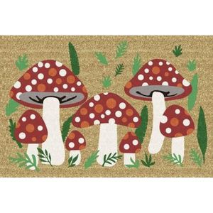 KOKOSOVÁ ROHOŽKA, 40/60 cm obraz