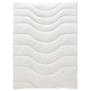 Sleeptex ZIMNÍ PŘIKRÝVKA, 135/200 cm, polyester, lyocell, kapok obraz