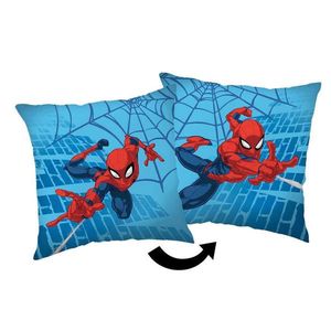 DEKORAČNÍ POLŠTÁŘ 40/40 cm obraz