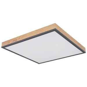 Globo STROPNÍ LED SVÍTIDLO, 45/45/6, 5 cm obraz