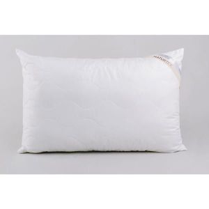 Sleeptex POLŠTÁŘ POD HLAVU, 70/90 cm obraz
