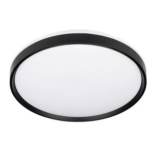 Novel STROPNÍ LED SVÍTIDLO, 48/7 cm obraz