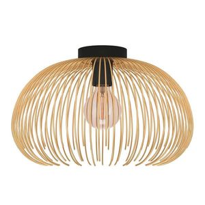 Eglo STROPNÍ SVÍTIDLO, 38, 5/25 cm obraz