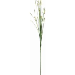 DEKORAČNÍ TRÁVA, 70 cm obraz