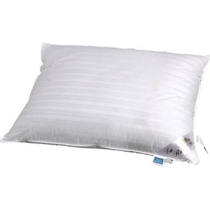 Sleeptex TŘÍKOMOROVÝ POLŠTÁŘ, 70/90 cm obraz