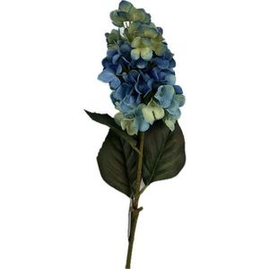 HORTENZIE 72 cm obraz
