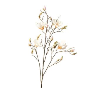 MAGNOLIE 110 cm obraz