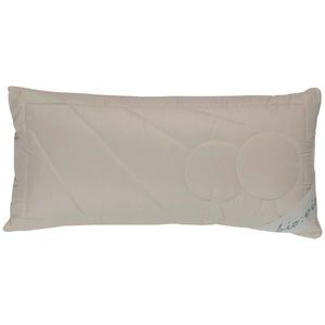 Bio: Vio POLŠTÁŘ POD HLAVU, 40/80 cm obraz